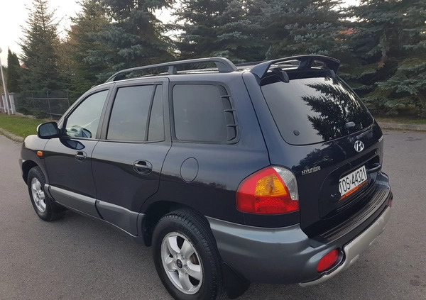 Hyundai Santa Fe cena 16600 przebieg: 224617, rok produkcji 2004 z Tarnów małe 277